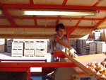 Sean B hard at work.... watching onions
