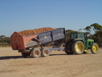 10 Ton trailer full of Onions
